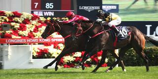 Mr Stunning and D B Pin fought out the finish in the Hong Kong Sprint. Photo: HKJC